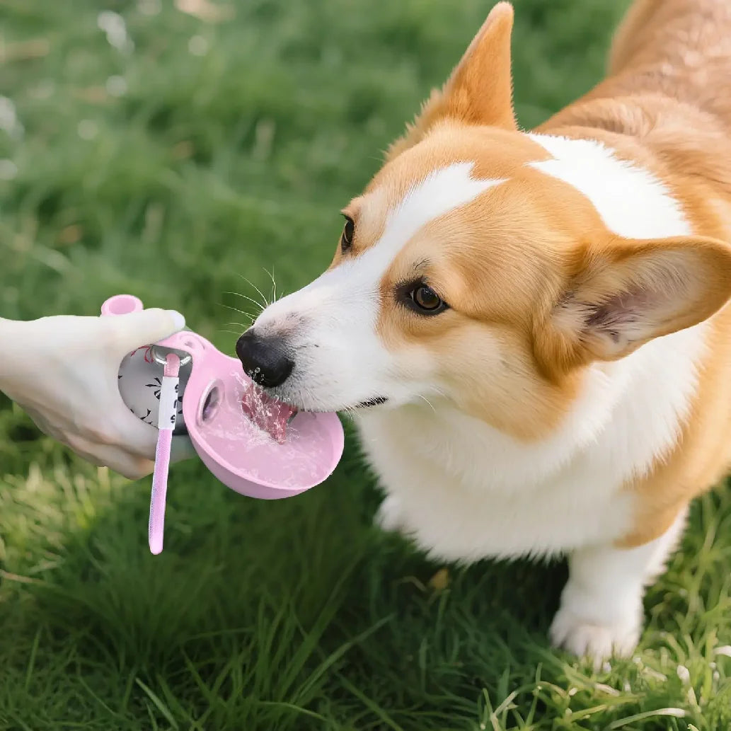 PORTABLE PET WATER BOTTLE  Made For Every Walk  💧 Leakproof 🧼 Easy-Rinse 🎒 Travel-Friendly